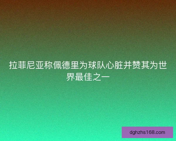 拉菲尼亚称佩德里为球队心脏并赞其为世界最佳之一