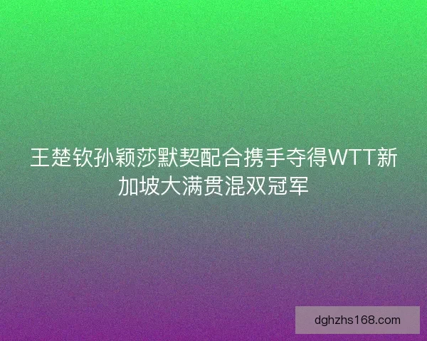 王楚钦孙颖莎默契配合携手夺得WTT新加坡大满贯混双冠军